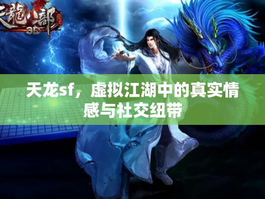 天龙sf，虚拟江湖中的真实情感与社交纽带