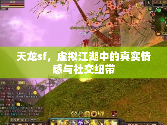 天龙sf，虚拟江湖中的真实情感与社交纽带