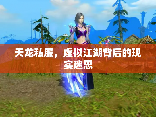 天龙私服，虚拟江湖背后的现实迷思