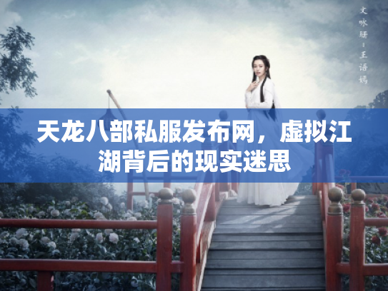 天龙八部私服发布网，虚拟江湖背后的现实迷思
