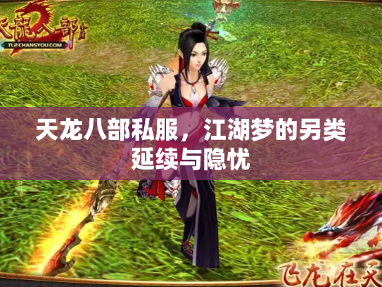 天龙八部私服，江湖梦的另类延续与隐忧
