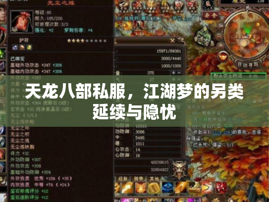天龙八部私服，江湖梦的另类延续与隐忧
