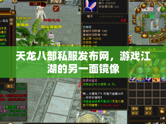天龙八部私服发布网，游戏江湖的另一面镜像