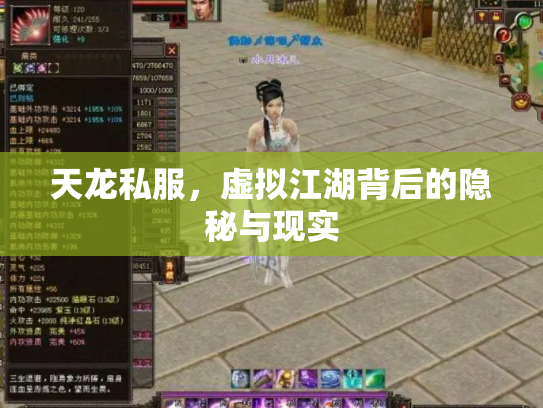 天龙私服，虚拟江湖背后的隐秘与现实