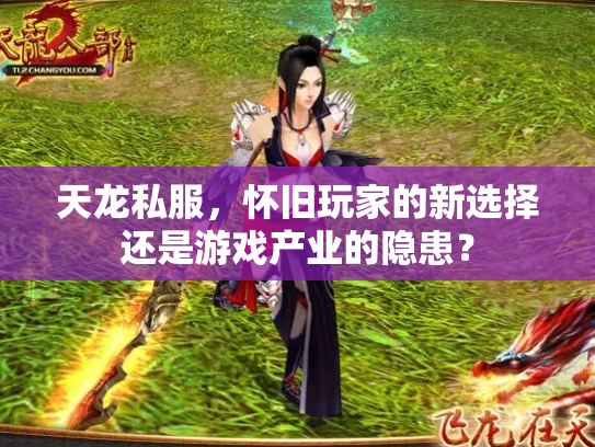 天龙私服，怀旧玩家的新选择还是游戏产业的隐患？