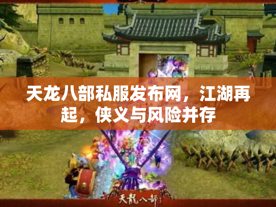 天龙八部私服发布网，江湖再起，侠义与风险并存