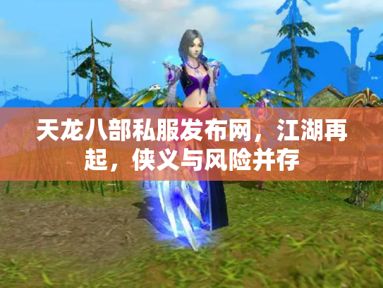 天龙八部私服发布网，江湖再起，侠义与风险并存