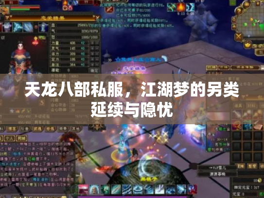 天龙八部私服，江湖梦的另类延续与隐忧