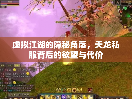 虚拟江湖的隐秘角落，天龙私服背后的欲望与代价