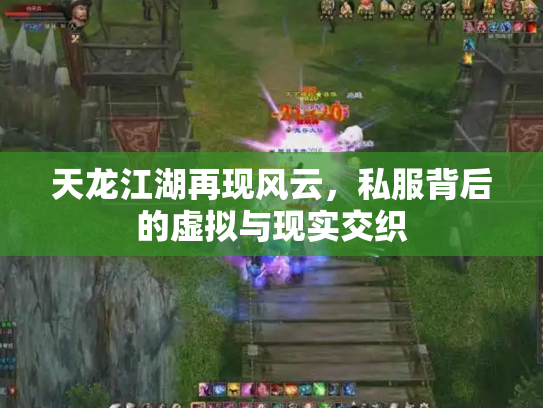 天龙江湖再现风云，私服背后的虚拟与现实交织