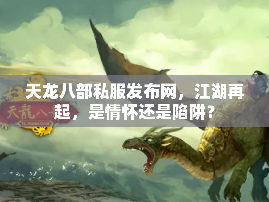 天龙八部私服发布网，江湖再起，是情怀还是陷阱？