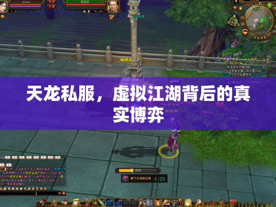 天龙私服，虚拟江湖背后的真实博弈