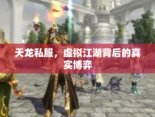 天龙私服，虚拟江湖背后的真实博弈