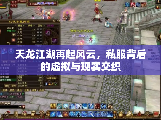 天龙江湖再起风云，私服背后的虚拟与现实交织