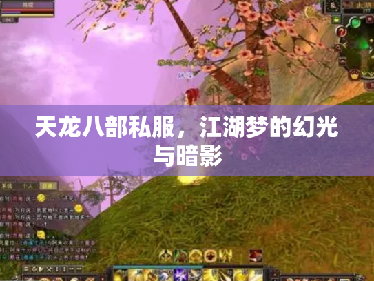天龙八部私服，江湖梦的幻光与暗影