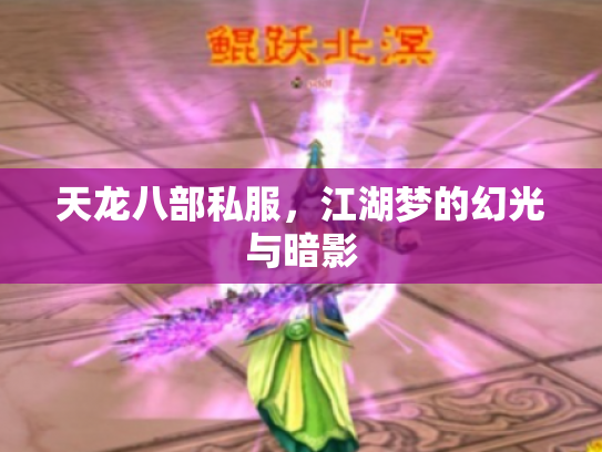 天龙八部私服，江湖梦的幻光与暗影