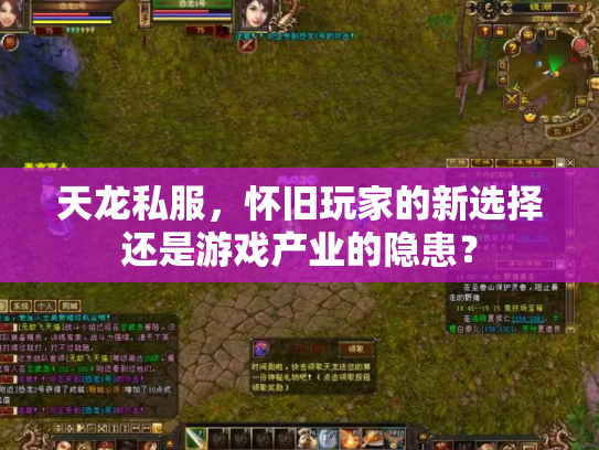 天龙私服，怀旧玩家的新选择还是游戏产业的隐患？