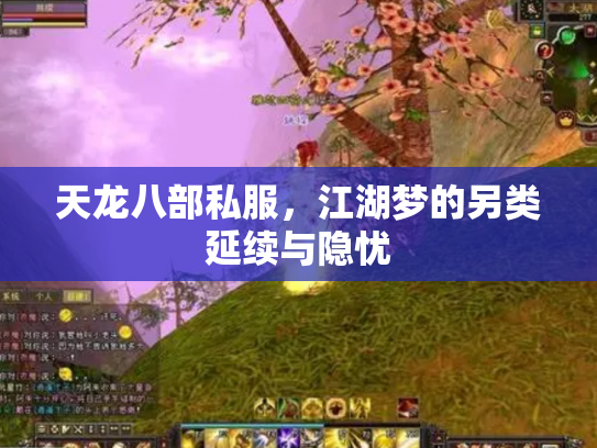 天龙八部私服，江湖梦的另类延续与隐忧