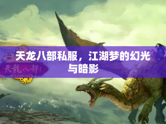 天龙八部私服，江湖梦的幻光与暗影