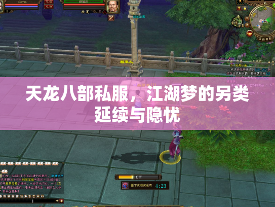 天龙八部私服，江湖梦的另类延续与隐忧