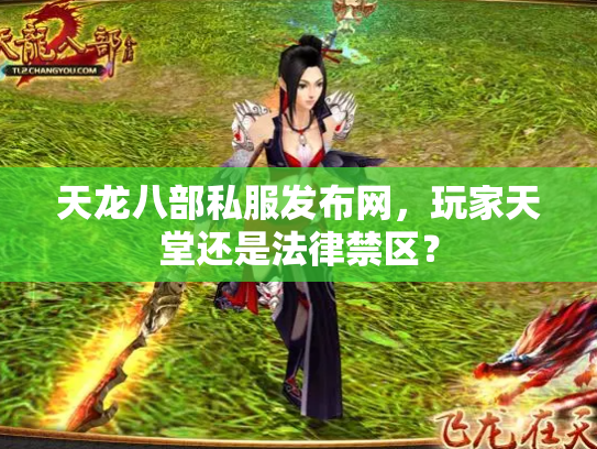 天龙八部私服发布网，玩家天堂还是法律禁区？