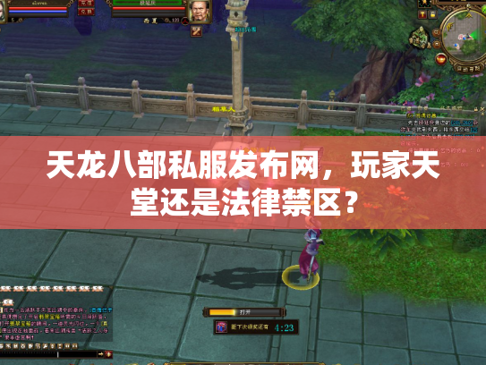 天龙八部私服发布网，玩家天堂还是法律禁区？
