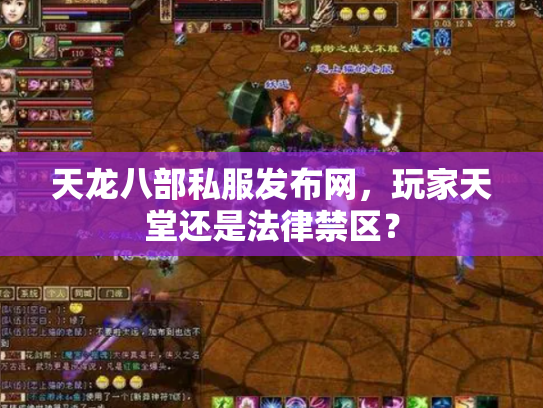 天龙八部私服发布网，玩家天堂还是法律禁区？
