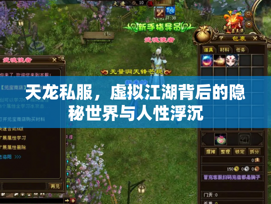 天龙私服，虚拟江湖背后的隐秘世界与人性浮沉