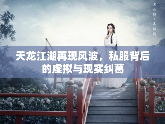 天龙江湖再现风波，私服背后的虚拟与现实纠葛