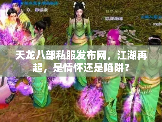 天龙八部私服发布网，江湖再起，是情怀还是陷阱？