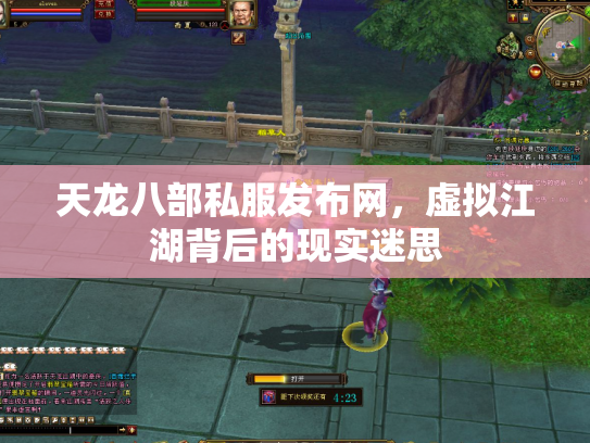 天龙八部私服发布网，虚拟江湖背后的现实迷思
