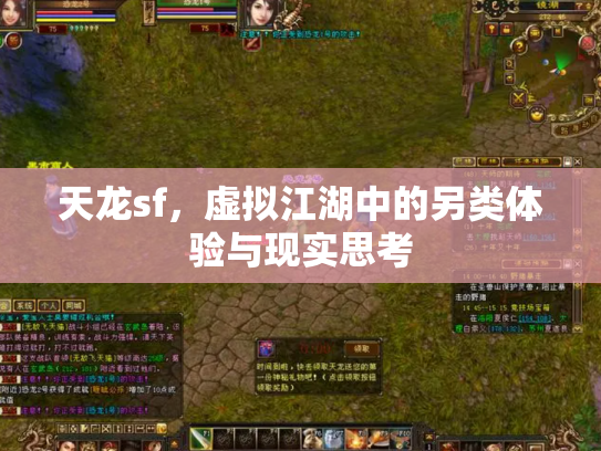 天龙sf，虚拟江湖中的另类体验与现实思考