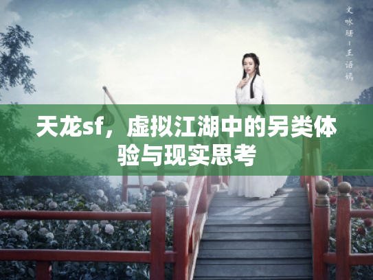 天龙sf，虚拟江湖中的另类体验与现实思考