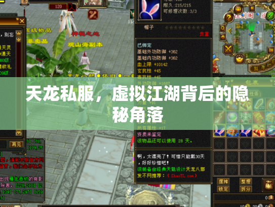 天龙私服，虚拟江湖背后的隐秘角落