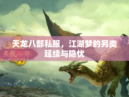 天龙八部私服，江湖梦的另类延续与隐忧