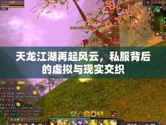 天龙江湖再起风云，私服背后的虚拟与现实交织