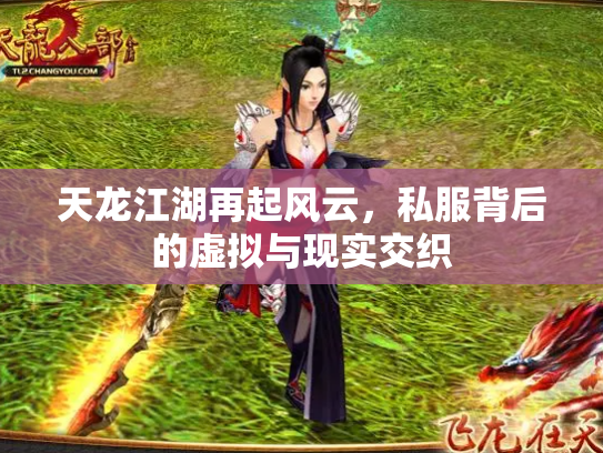 天龙江湖再起风云，私服背后的虚拟与现实交织
