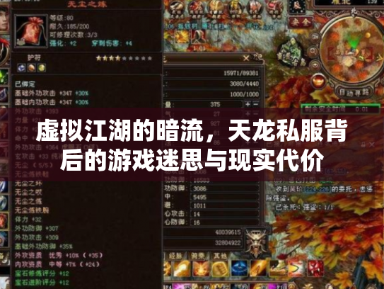 虚拟江湖的暗流，天龙私服背后的游戏迷思与现实代价