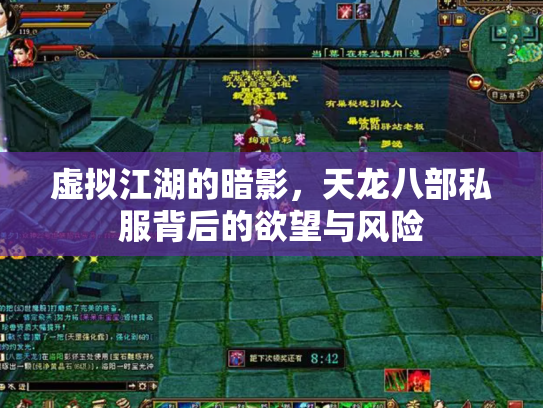 虚拟江湖的暗影，天龙八部私服背后的欲望与风险