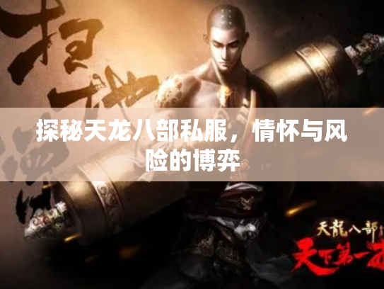 探秘天龙八部私服，情怀与风险的博弈