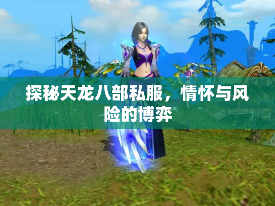 探秘天龙八部私服，情怀与风险的博弈
