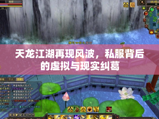 天龙江湖再现风波，私服背后的虚拟与现实纠葛