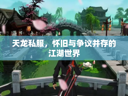 天龙私服，怀旧与争议并存的江湖世界