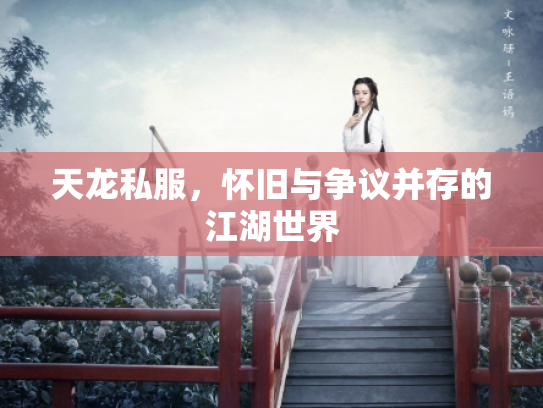 天龙私服，怀旧与争议并存的江湖世界