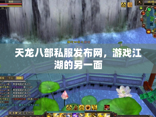 天龙八部私服发布网，游戏江湖的另一面
