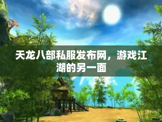 天龙八部私服发布网，游戏江湖的另一面