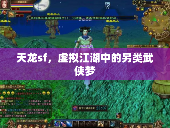 天龙sf，虚拟江湖中的另类武侠梦