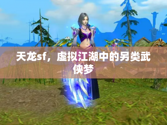 天龙sf，虚拟江湖中的另类武侠梦