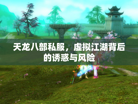 天龙八部私服，虚拟江湖背后的诱惑与风险