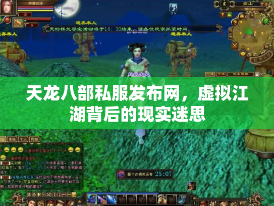 天龙八部私服发布网，虚拟江湖背后的现实迷思